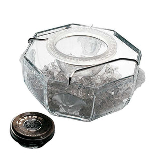 Versace meets Rosenthal Medusa Crystal Lumiere caviar bowl w/ 100 ml insert - Buy now on ShopDecor - Discover the best products by VERSACE HOME design